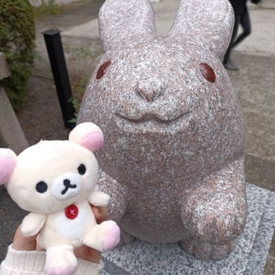 sy_piyo14's profile picture. @​onefive  SOYOちゃん🐣 | 
⊿⁴⁶ 五百城茉央 山下瞳月 佐藤愛桜｜
さくら学院