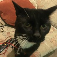 Jemmy55 🏴 🇮🇱🇬🇧 (@jemmy551) 's Twitter Profile