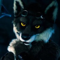 Randon is sus 💉🐺 (@randonwolfy) 's Twitter Profile Photo Randon is sus 💉🐺 (@randonwolfy) 's Twitter Profile Photo