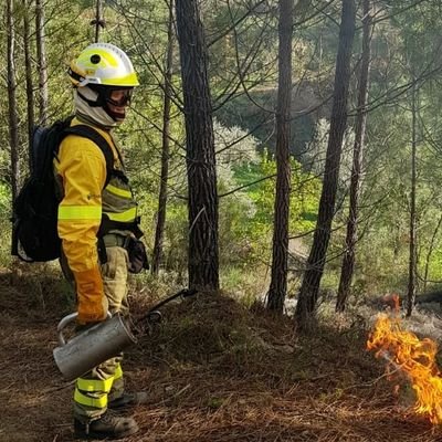 antoniojpr82's profile picture. Vigués. I.T. Forestal en el COR de Cáceres, ex técnico EPAIF Cáceres, ex Técnico Brigada Helitransportada. Tuiteo sobre incendios forestales y NBA. Bienvenidos