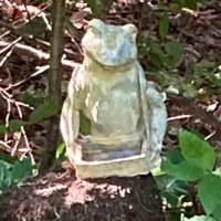 Spicoli (@spicolis) 's Twitter Profile