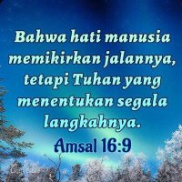 TAMAREK (@asaria_wenda) 's Twitter Profile