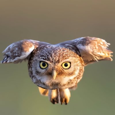 sbear23's profile picture. 첫술은 배고프다 ¯\_(ツ)_/¯