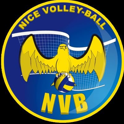 Toute l'actualité du Nice Volley Ball. Equipe Masculine Professionnelle en Ligue A depuis 1993 #teamnvb #nicevolleyball