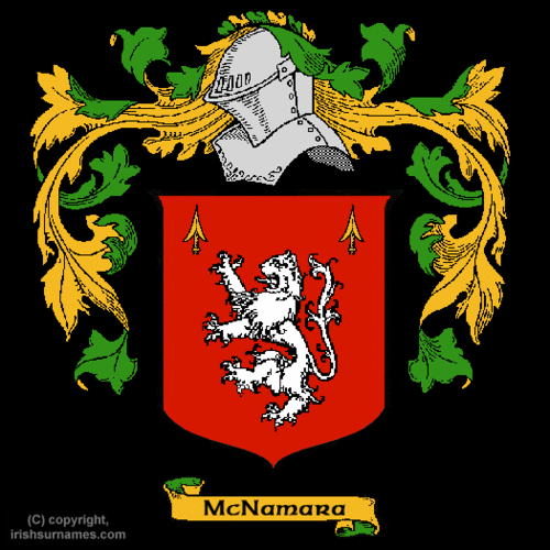 jjmcnamara's profile picture. Irish History