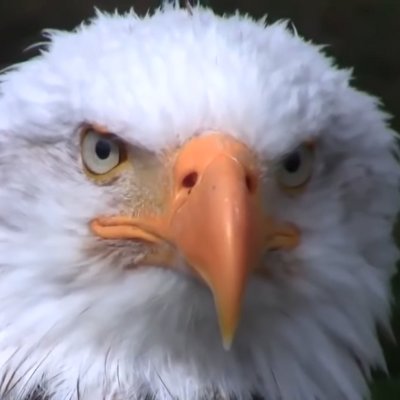 Orig_joachimSch's profile picture. Original Joachim,
Spitze Zunge, manchmal makaber, Sarkastisch und Ironisch. Die schärfste Waffe, die der Mensch Besitz , ist der Verstand.