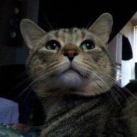 KMDN 2 (@8fd8b60639b9497) 's Twitter Profile Photo KMDN 2 (@8fd8b60639b9497) 's Twitter Profile Photo