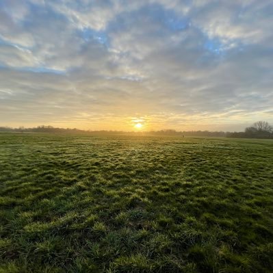 LouisEight's profile picture. Idk