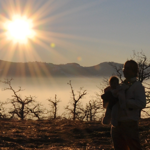 wizardofcrowds's profile picture. Being Agile, Seeking Robustness