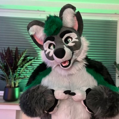 Twitch Partner/Fulltime Streamer and Fursuiter, who is really addicted into singing and music. :)