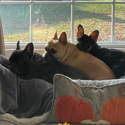 michamato's profile picture. 