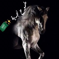 طـــموح نجدية 🐎(@alnor88088) 's Twitter Profile Photo