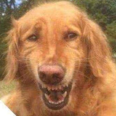 Morderkay_ay_ay's profile picture. Yehudi sarcArtis, padre soltero, amante de la naturaleza y el buen vivir. siempre navegando en la mar.