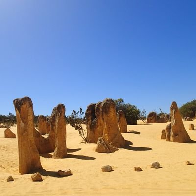 Soar575's profile picture. Is truth stranger than fiction?
Growth mindset.
Thinking outside of the box. Good vibes.