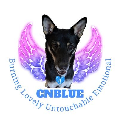 CNBLUE大好き❤ヨンファよりallぺん❤一生BOICE❤いつまでもずっと聴いていたい🎶頑張っているCNBLUEを全力応援💪🎸🎶韓国ドラマも大好き😊ツイッター🔰よろしくお願いします🥁かなり低浮上ですが仲良くして下さいね🌈🐕ハパユも娘と応援中🦄🌈