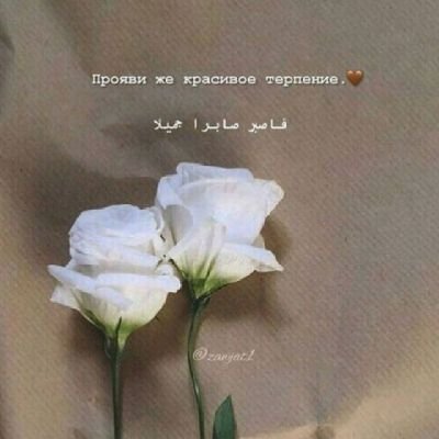 Gulya22821779's profile picture. Karakalpakstan!!!