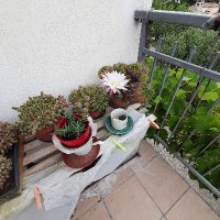 Materdomin (@materdomin) Twitter profile photo