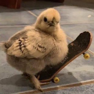 2paques's profile picture. la vie est triste comme un verre de grenadine