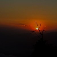 Dr.raj (@gautamnepal8) 's Twitter Profile