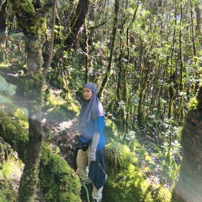 delldwp's profile picture. I follow the sun.