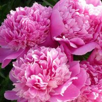 GOPProsperity (@gopprosperity) 's Twitter Profile Photo