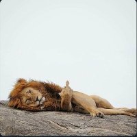 Mikko Kärnä (@mikkokarna) 's Twitter Profile