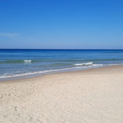 Yaffo16's profile picture. Fun