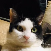 Makkiy@m (@panicdepression) 's Twitter Profile Photo Makkiy@m (@panicdepression) 's Twitter Profile Photo