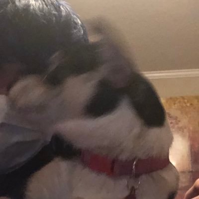 Juri77777887's profile picture. 仏文🇫🇷/ 美術とギャンブルとそれからわたし