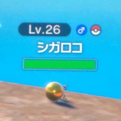 🐝🐝さんのプロフィール画像