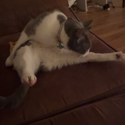 LaEmilyy's profile picture. tweets are not my own