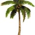 Raysalltreeservice (@raysalltrees) Twitter profile photo Raysalltreeservice (@raysalltrees) Twitter profile photo