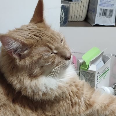 chnshdng1's profile picture. 