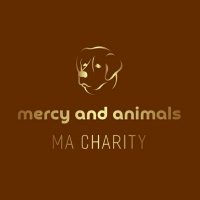 Mercy & Animals(@MercyandAnimal) 's Twitter Profile Photo