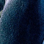 22177Vivek's profile picture. 