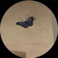 HS | 👩🏻⚕️ (@iprcel) 's Twitter Profile