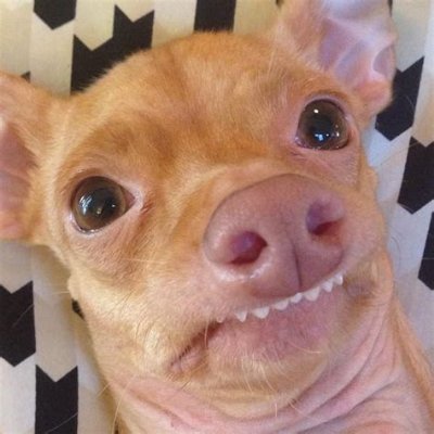 txuintxunfly's profile picture. Bitcoin is hope. Stay humble and stack Sats.
GPG EC78 9C36 7C18 397C