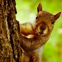 David Eckhoff - @_theycallmeD_ - Twitter