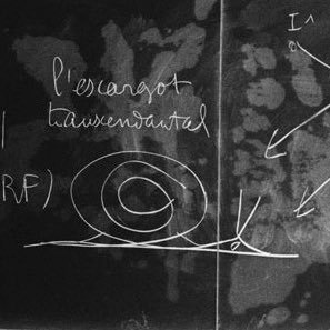 mellingerrr's profile picture. 