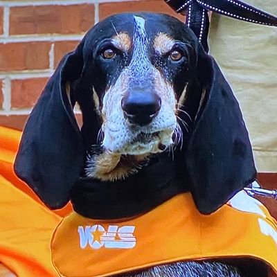 Fan of the Vols, Preds, Reds, Red Sox, and Nashville SC. Mainly here to point out flaws in your sports opinions and logic.