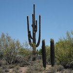 Scottsdale, AZ, Maricopa County (Arizona 85251) USA