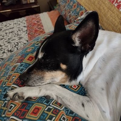 SusanWa06410192's profile picture. Christian wife, Mom and grandma.  Ready for the new Golden Age of America!