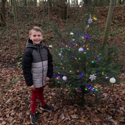 This year Harry is on a mission for all his friends and members of the local community to collectively decorate a Christmas Tree in time for Santa’s arrival 🎄