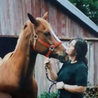 Kat Murphy (@crankyoldhen) 's Twitter Profile
