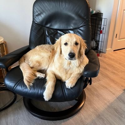 MariaSheriffs's profile picture. 