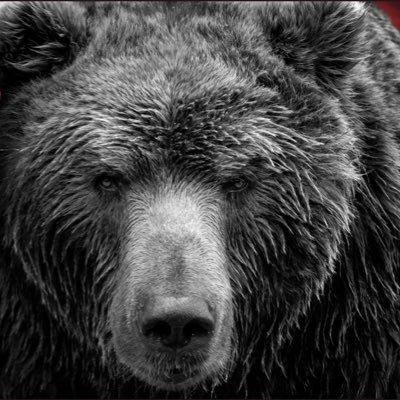 TOAS72740916's profile picture. 