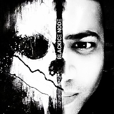 BlackiceNode's profile picture. Senior Developer