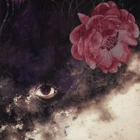 Nas (@nas_nstl) 's Twitter Profile