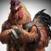 B-A GameCock! (@the1andonlybash) Twitter profile photo B-A GameCock! (@the1andonlybash) Twitter profile photo