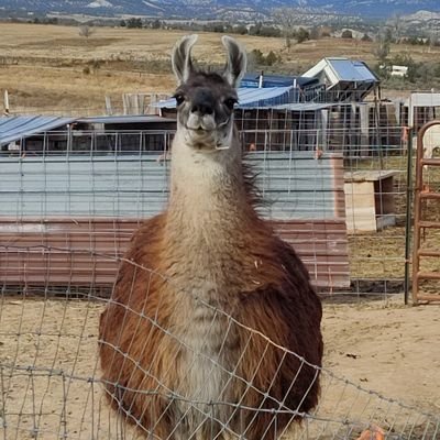 I'm not crazy, my reality is just different than yours.
CA-$dscheccles
Venmo-@dscheccles